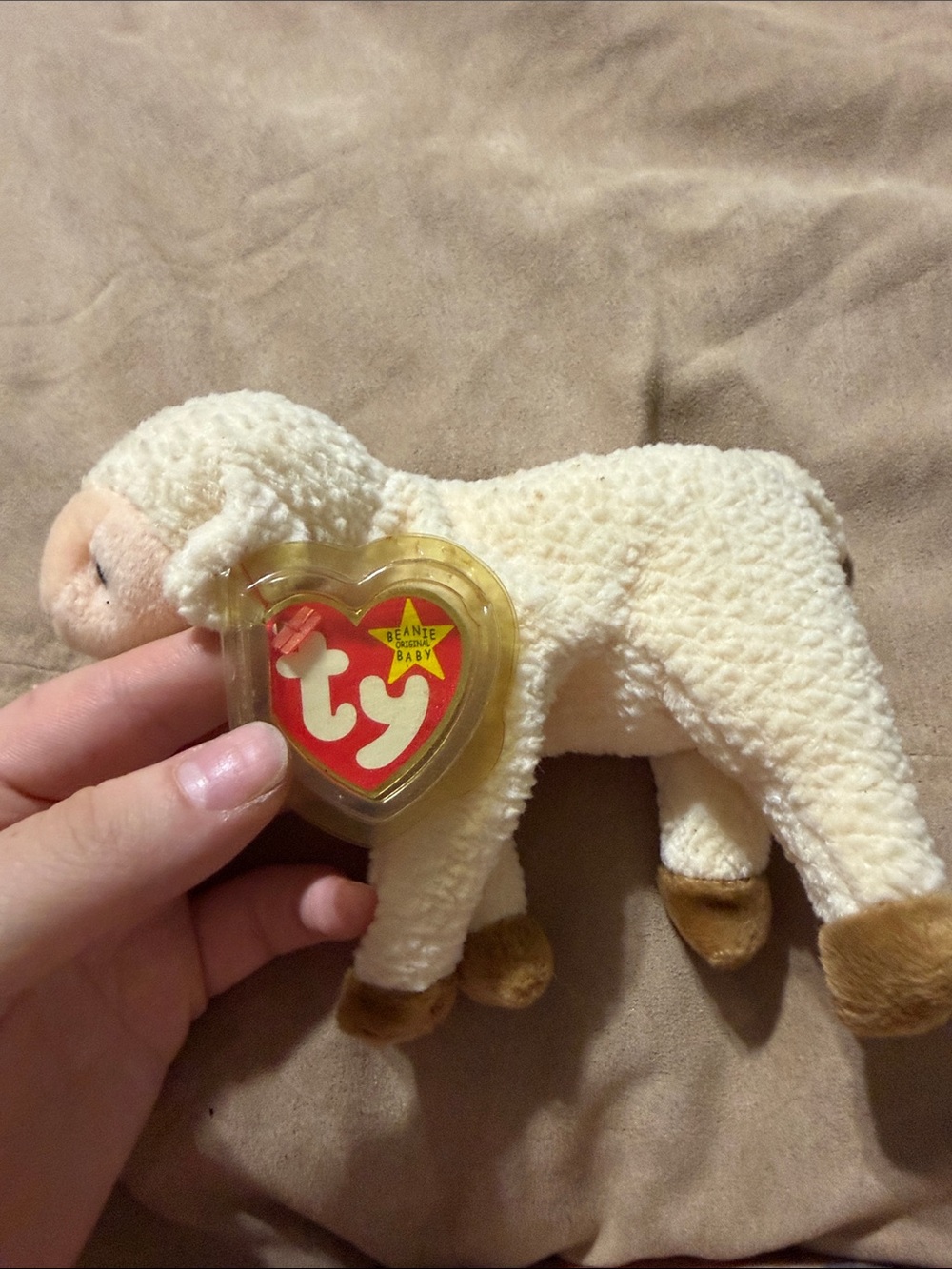 Ty Beanie Baby Lamb Plush in Cream and Brown